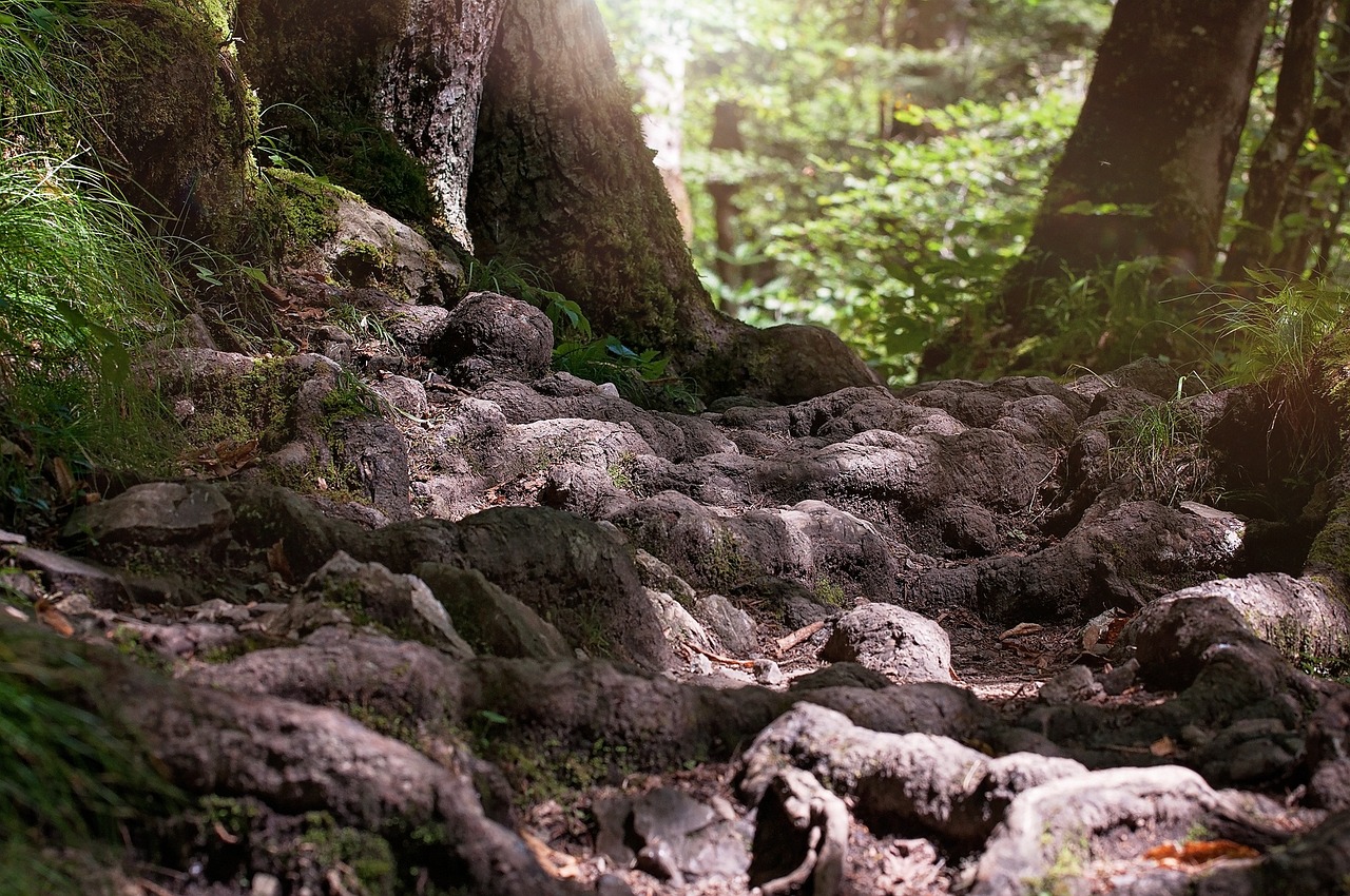 Hidden Trails in the United States’ Zion National Park